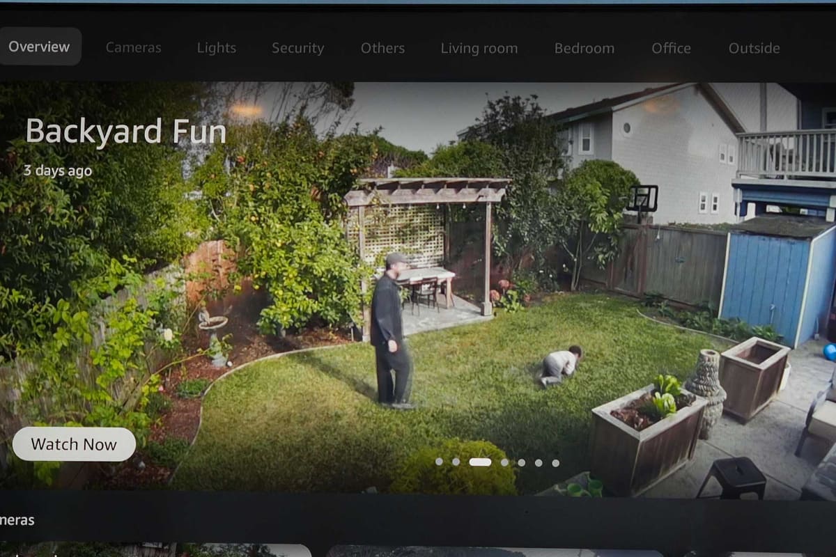 庭で遊ぶ子供のような、「家族の大切な記録」も検索して残しておける