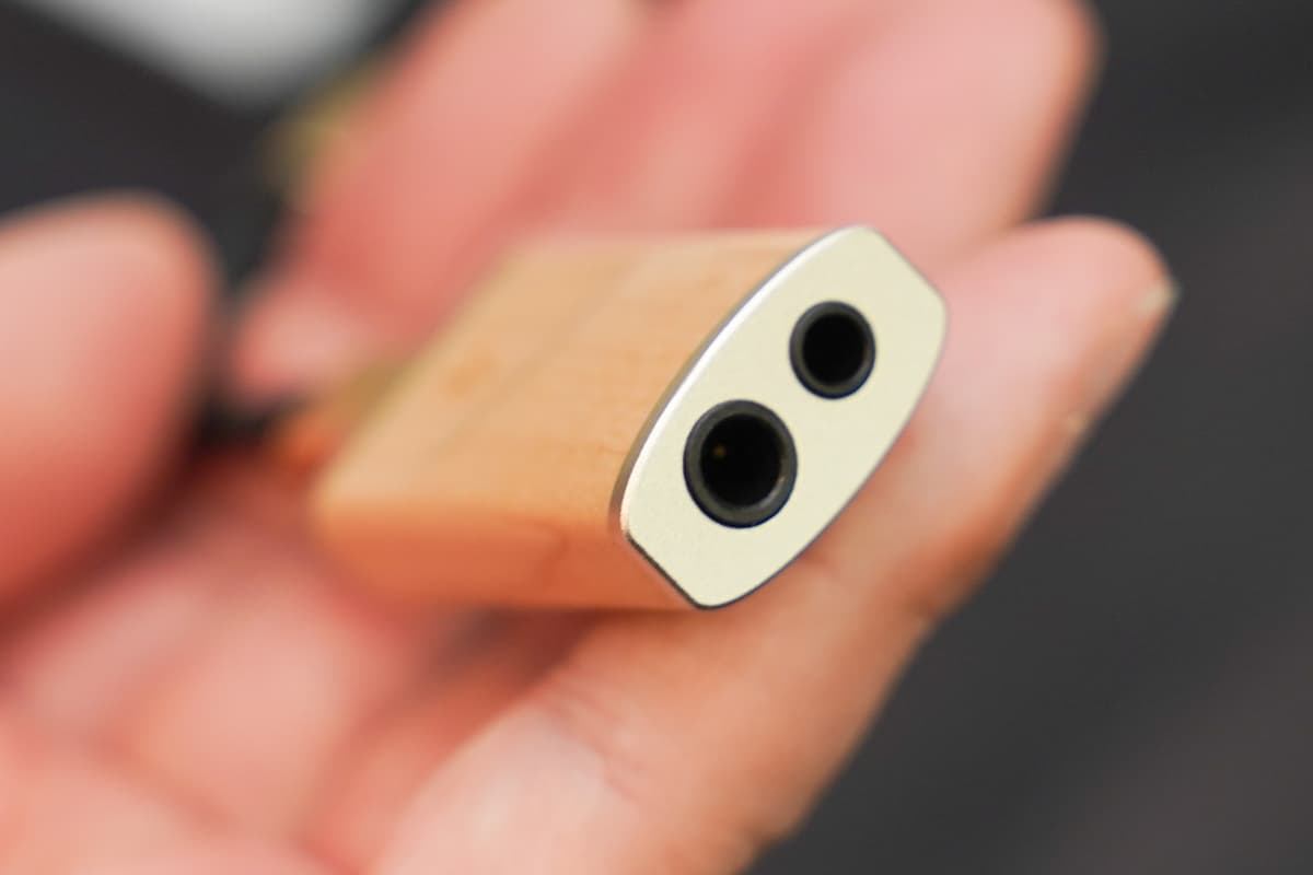 FIIO Snowsky MELODY