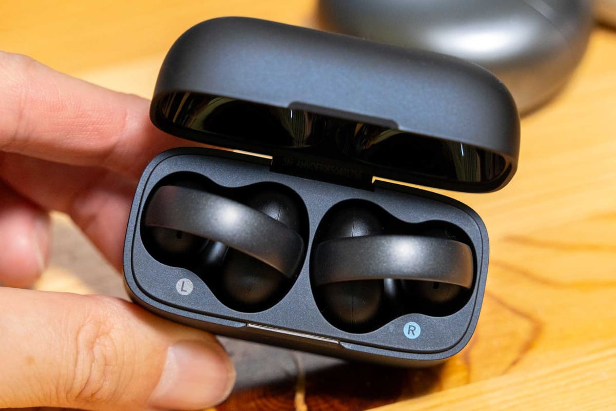 イヤフォン本体やケースに「L/R」の印字があり、ユーザー自身で左右を区別する必要がある