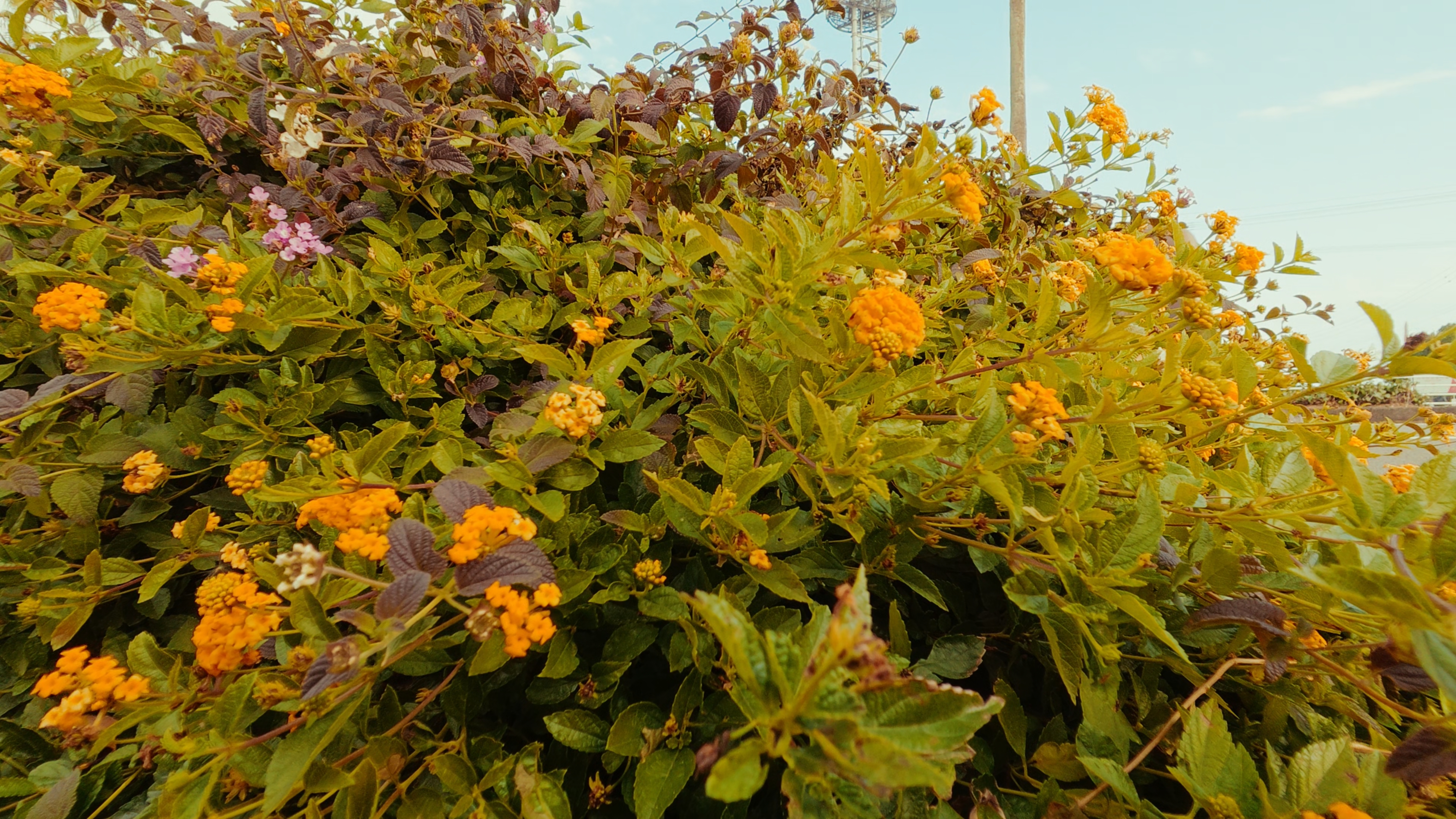 FE：シネマティックなルック