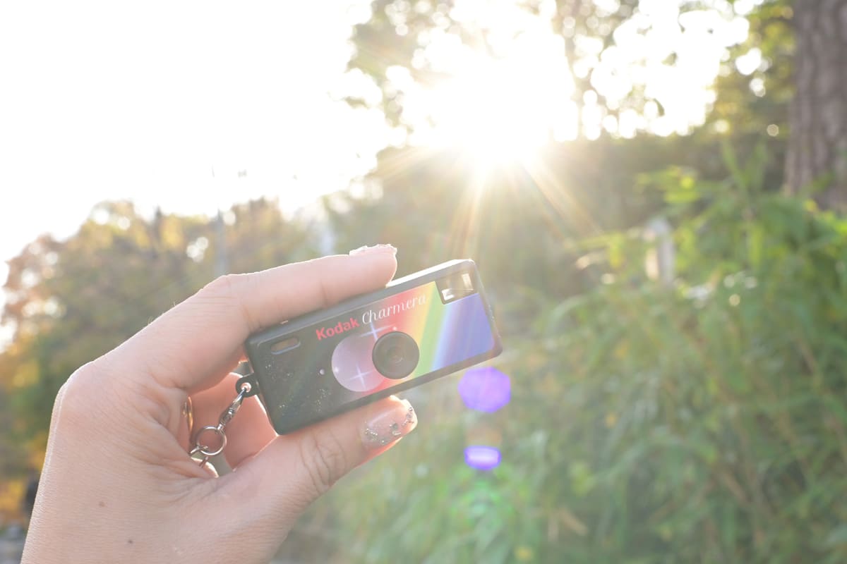 旅行よりも、散歩の相棒にピッタリな感じ