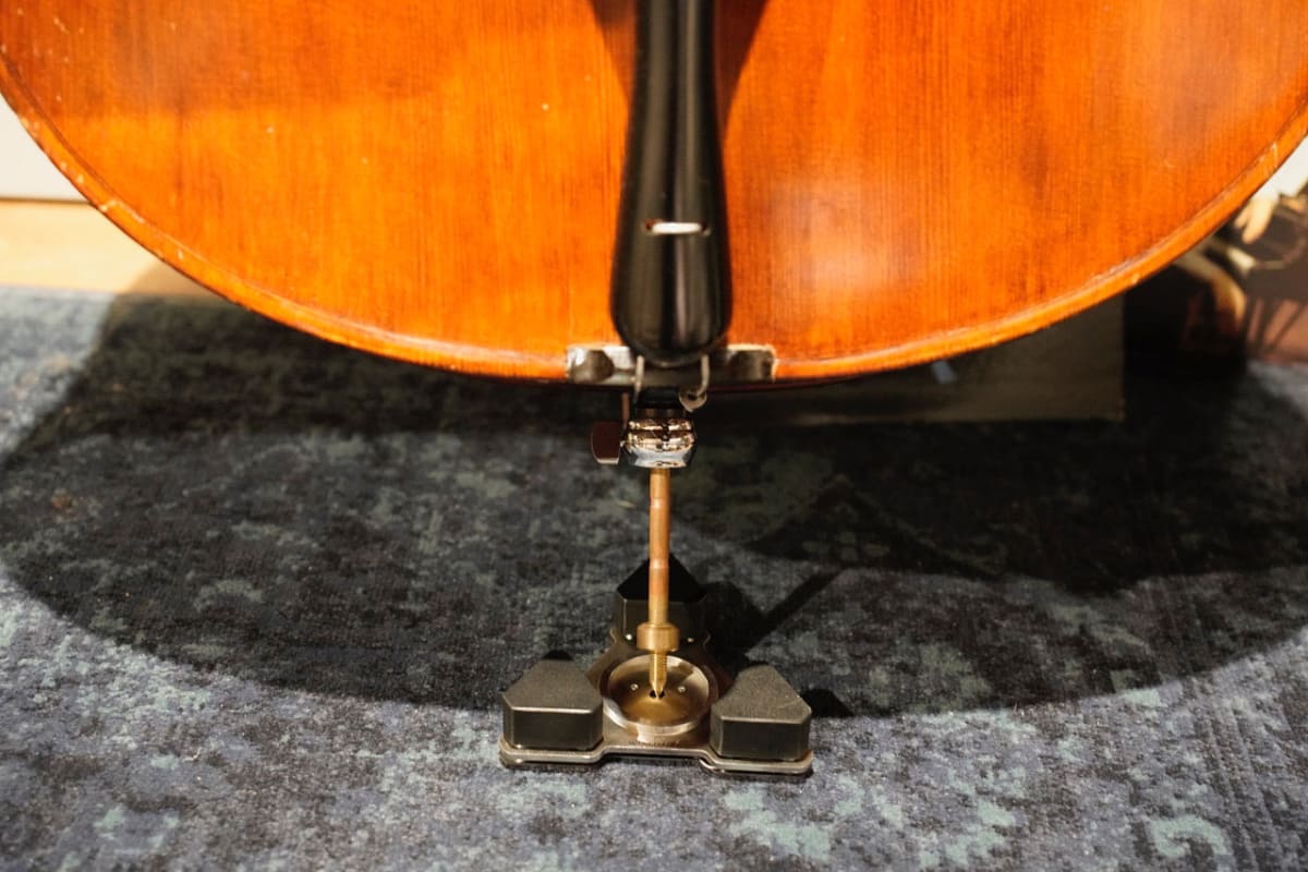 コントラバスをウェルデルタに載せた状態