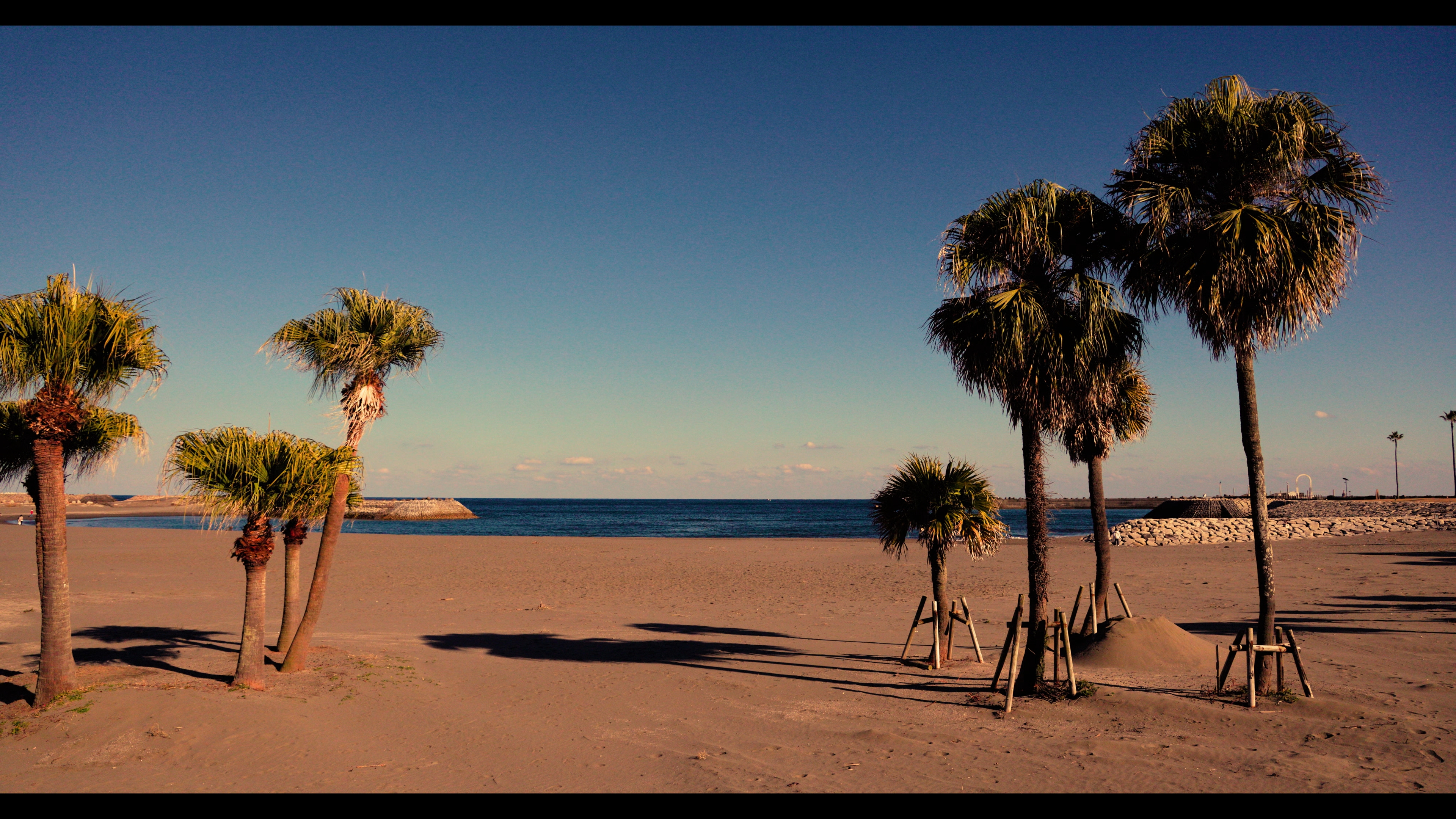 Canon_TD_Golden_Hour