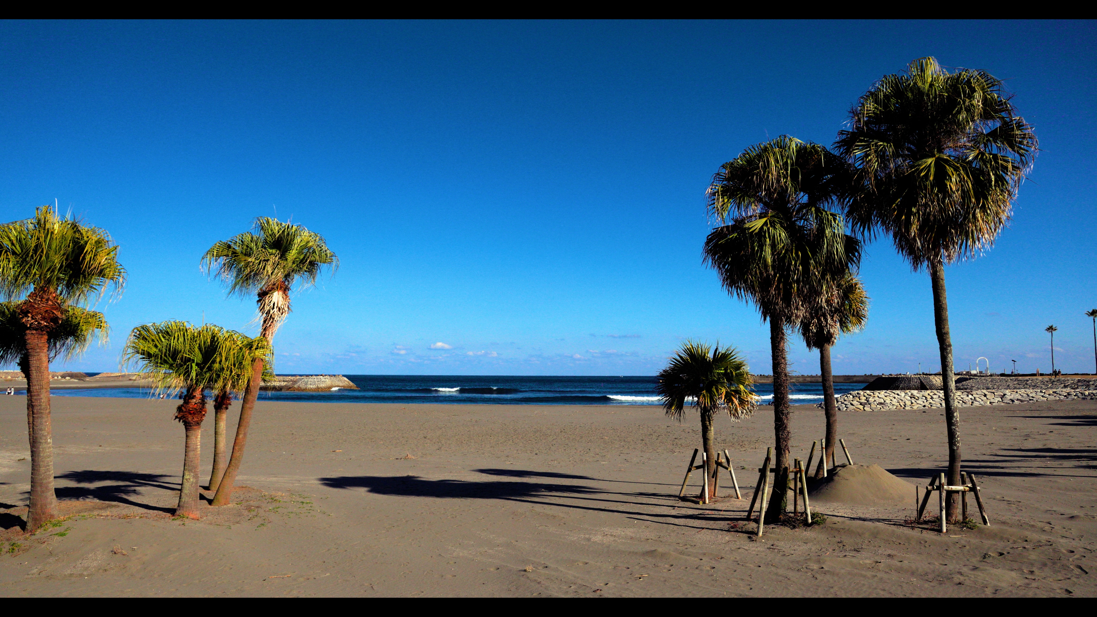 Canon_TD_Warm_Afternoon