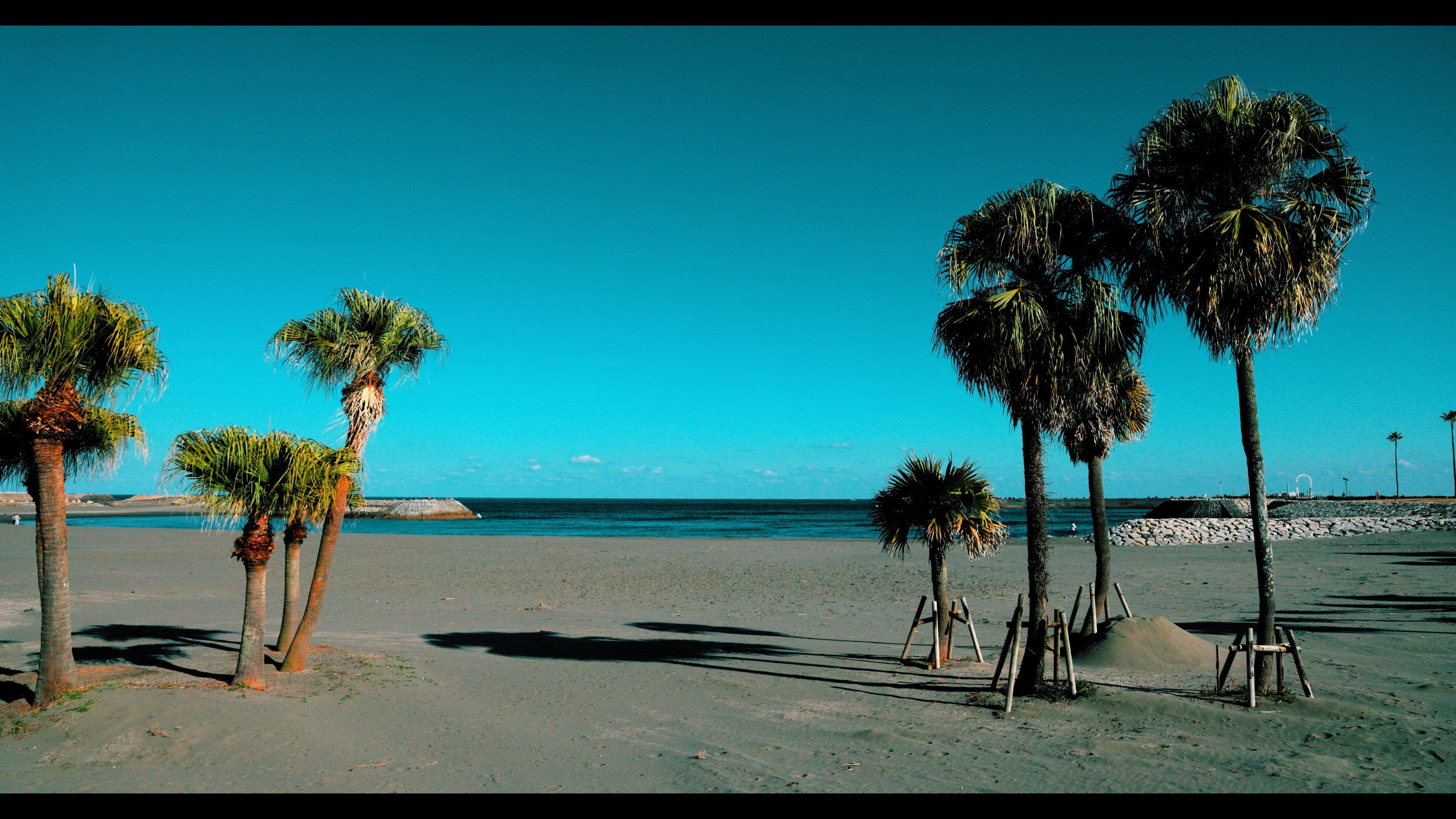 Canon_TO_Teal_and_Orange