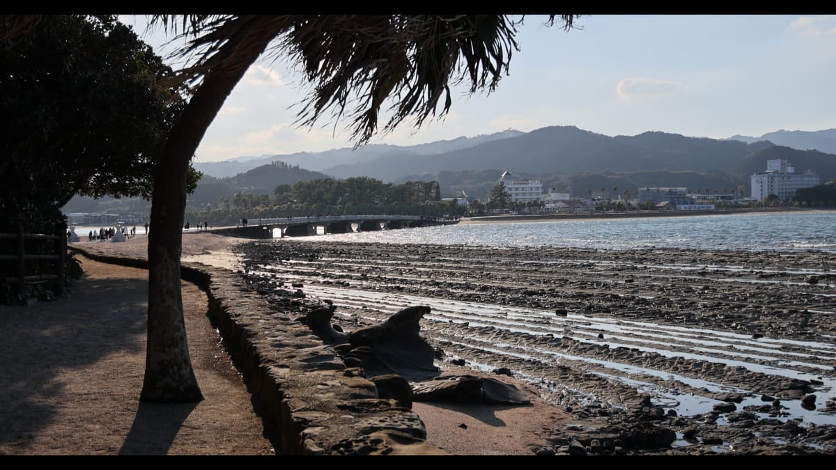 ��HDRư���ー�ɡפǻ��Ƥ�����Ρ�SDR���֤Ǥ�HDR�äݤ������ʥߥå���󥸤ˤʤ�