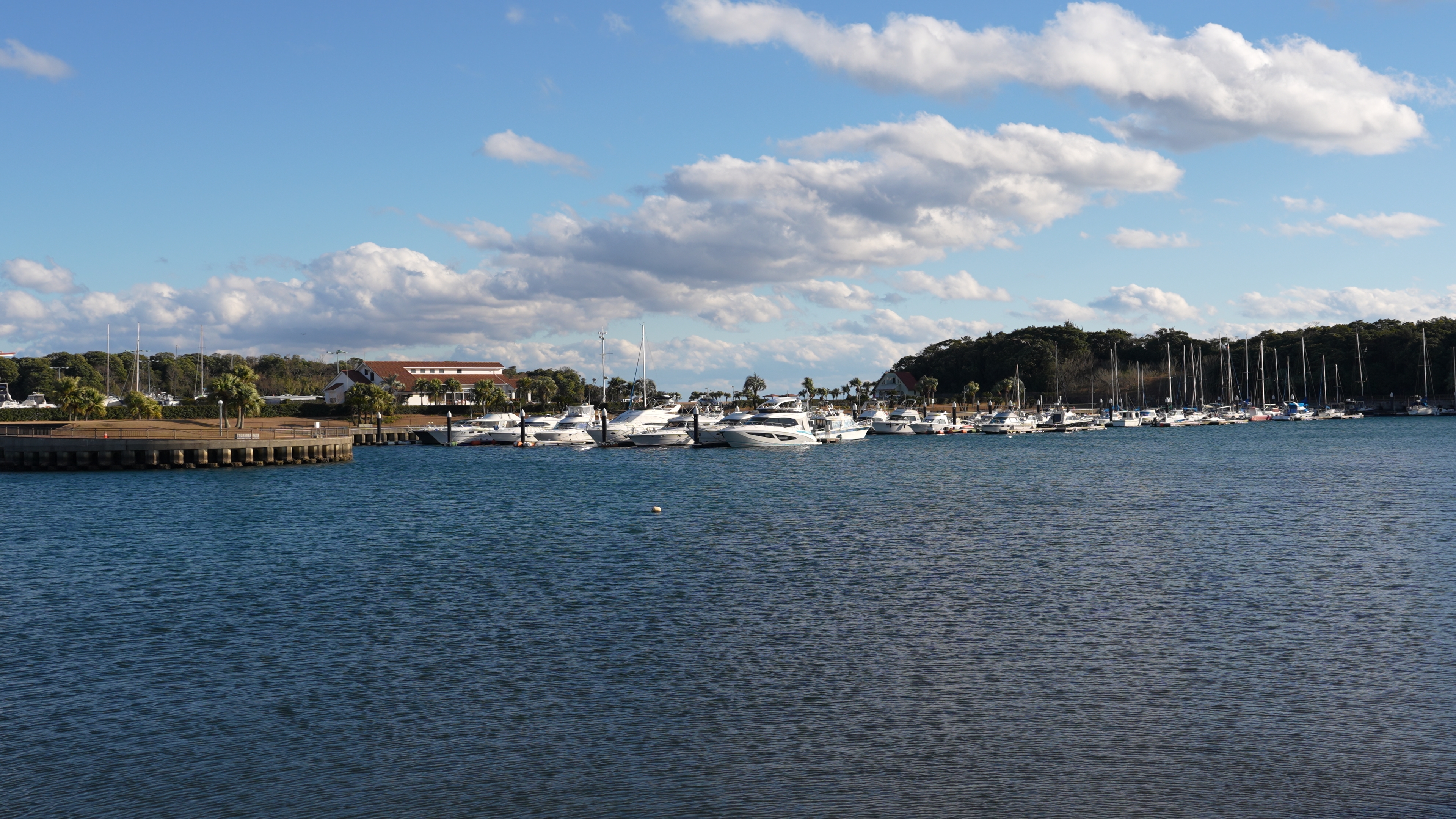 フレーミング補正OFFの70mmテレ端