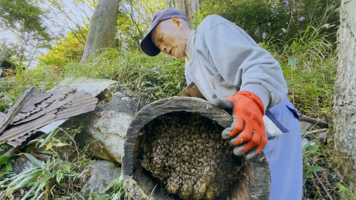 ハチと対話できるという那須久喜さん