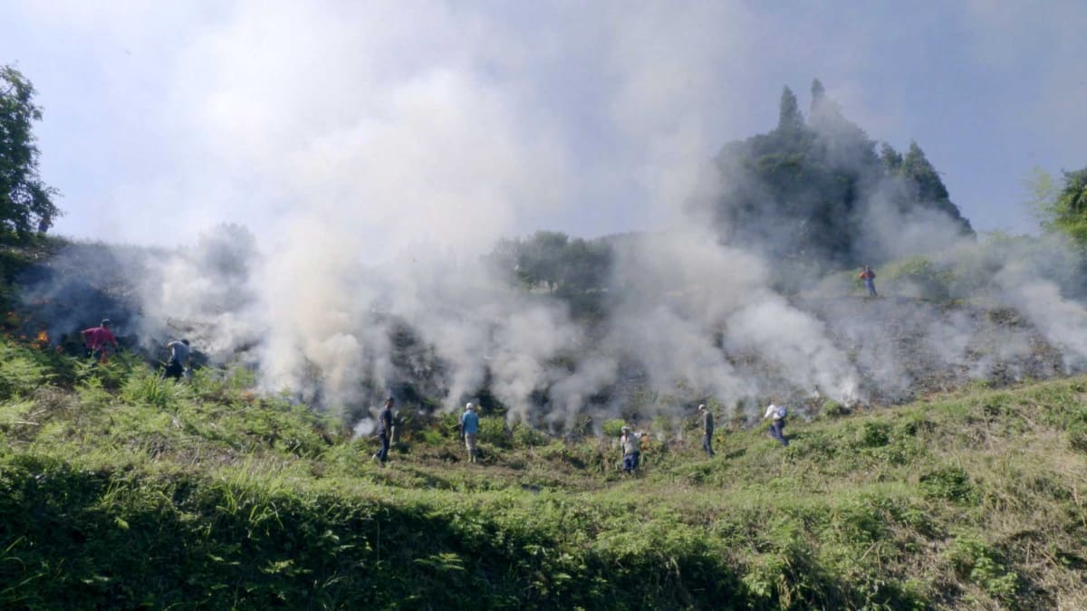 椎葉の伝統農法・焼畑