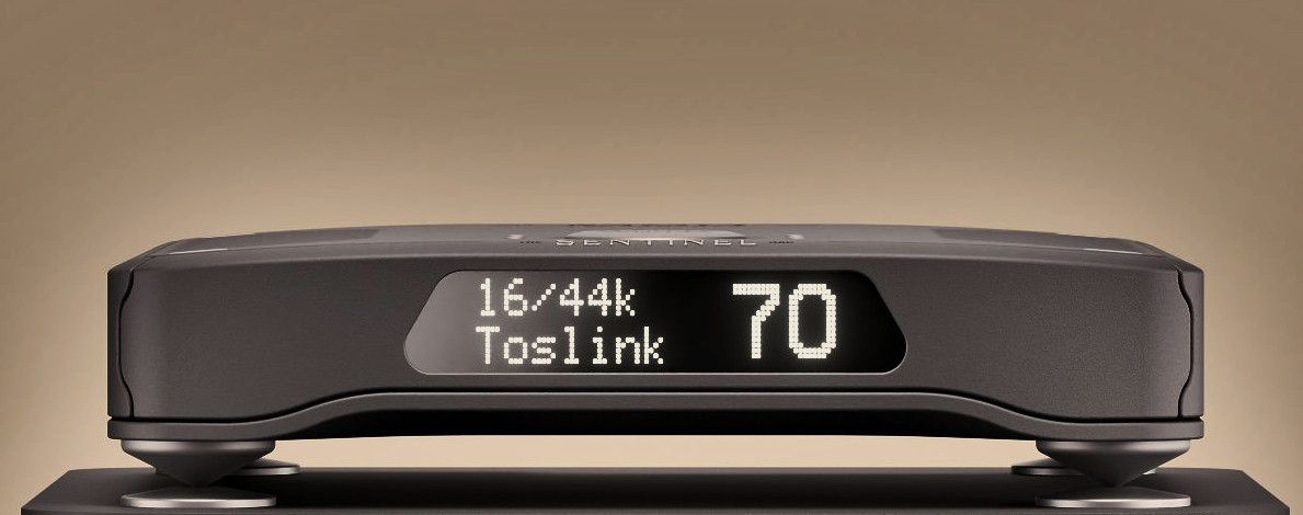 SENTINELデジタルディレクター