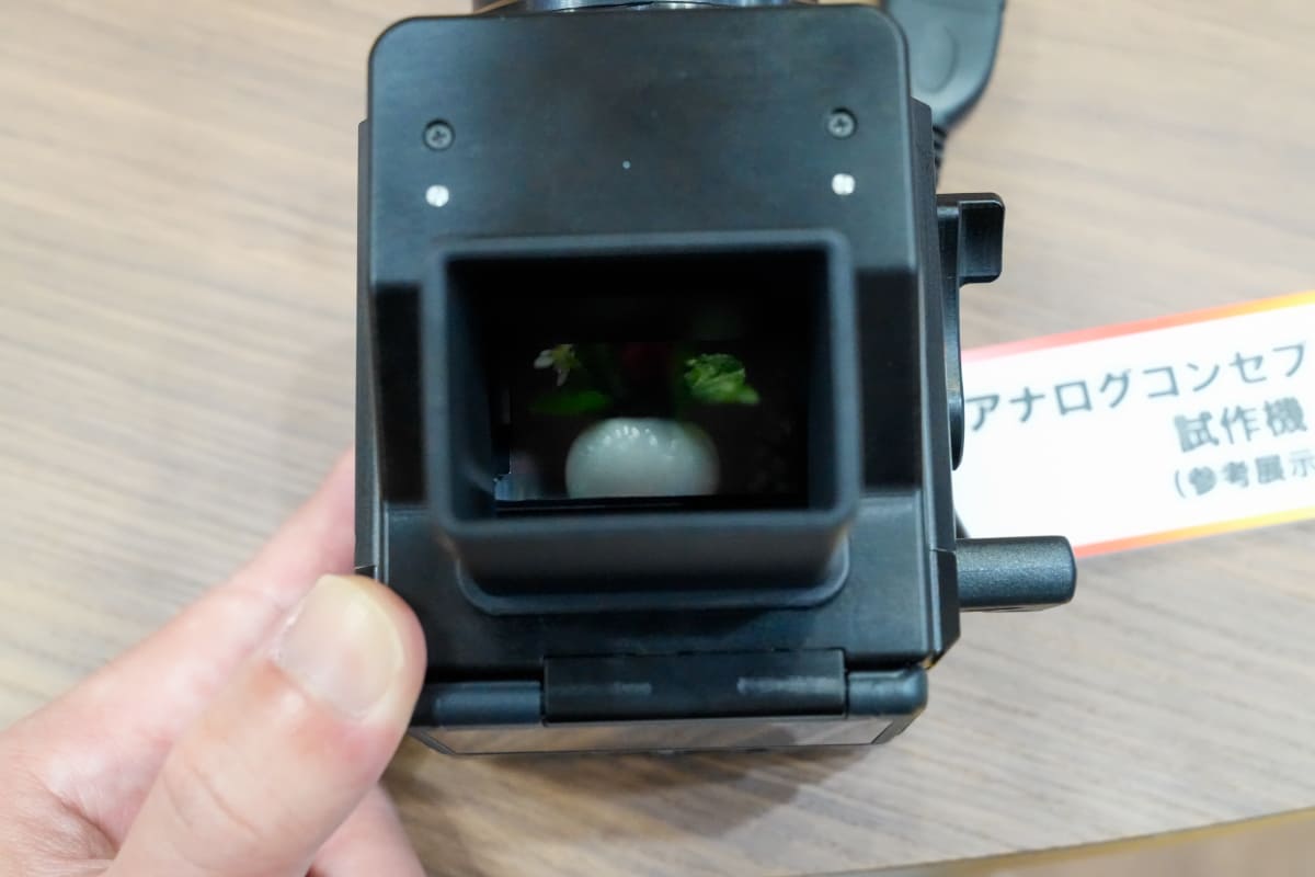 上からスクリーンを覗き込みながら、レンズを操作してピントを合わせる