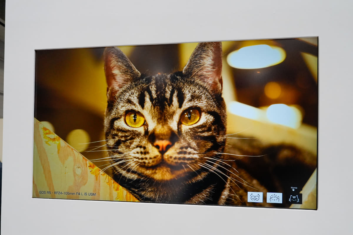 Dual Pixel CMOSセンサー搭載機で撮影した写真を立体化したもの
