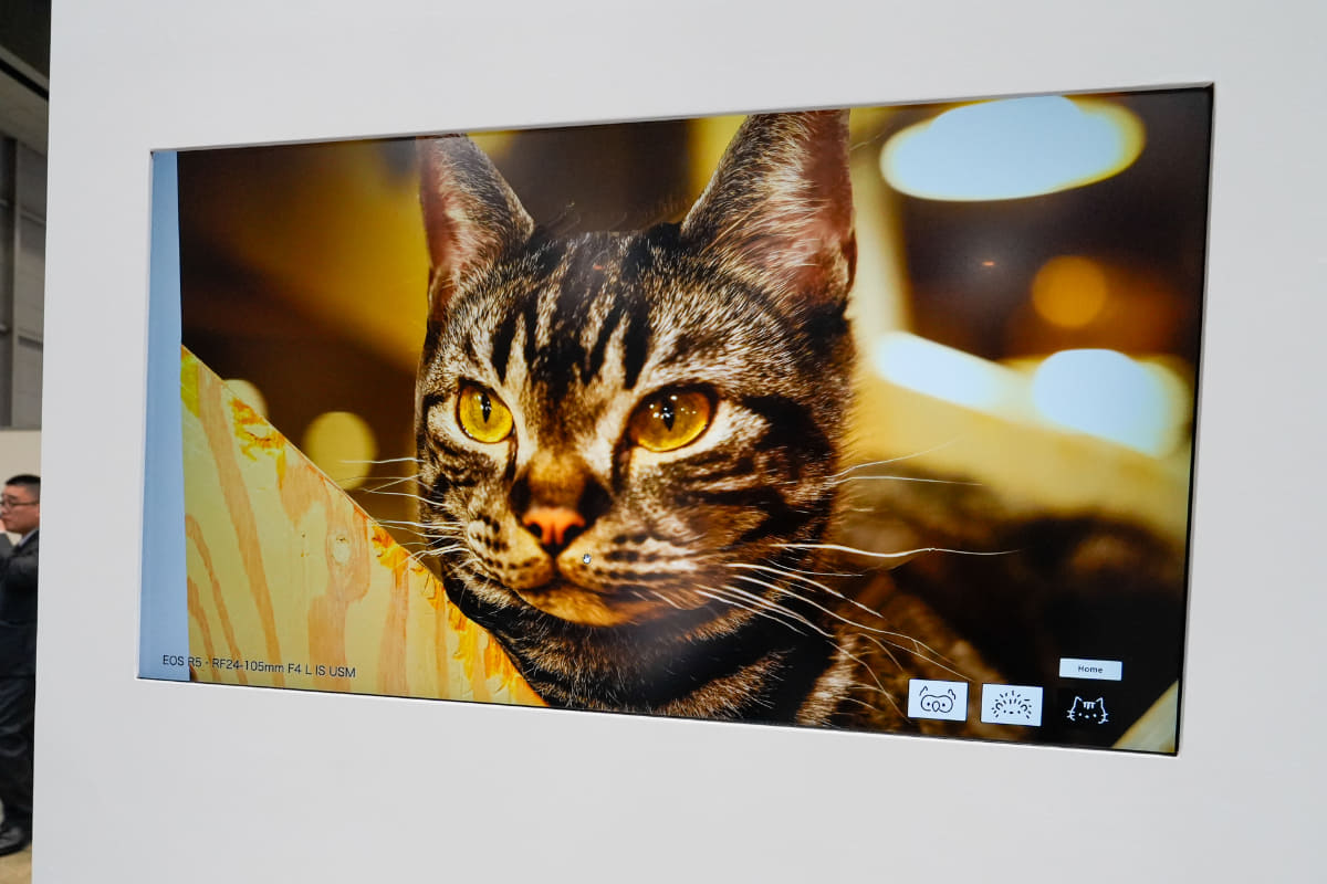 1枚の写真を別の視点から見られるような感覚