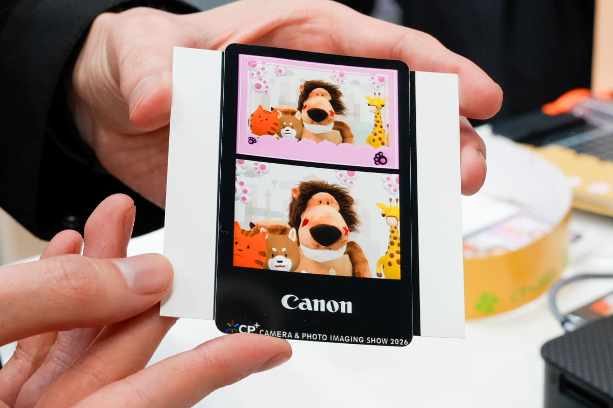 上と下で微妙にライオンのぬいぐるみの顔の向きが変わっているが、撮影は1度だけしかしていない