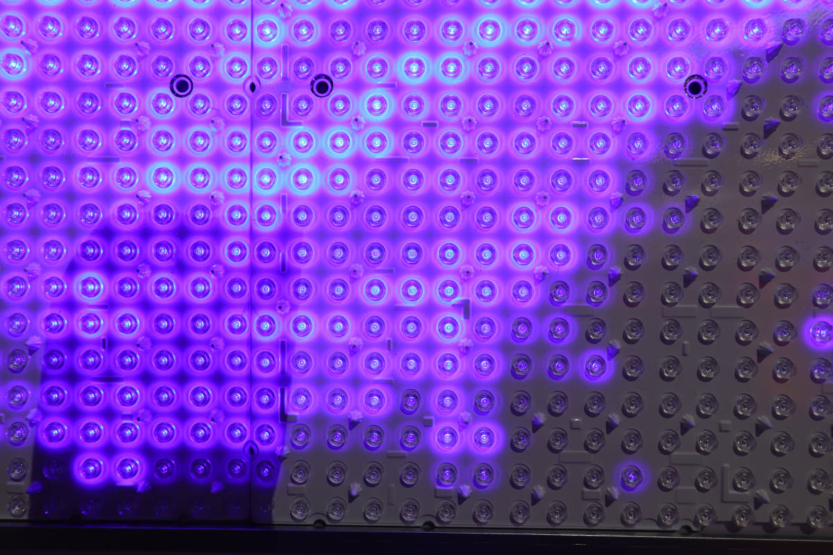 写真では白飛びしているが、SQD技術の展示コーナーでは、ミニLEDは、単色の紫色の明暗分布で表現されていた