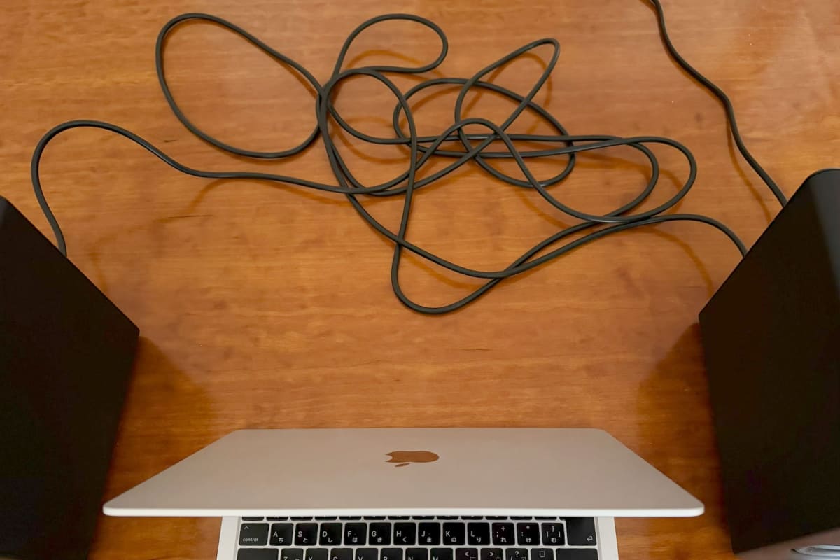 付属の4PIN DINケーブルは5m、ニアフィールド環境では持て余してしまう