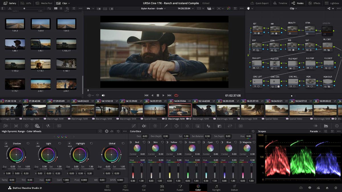 「DaVinci Resolve 21」のカラーページ
