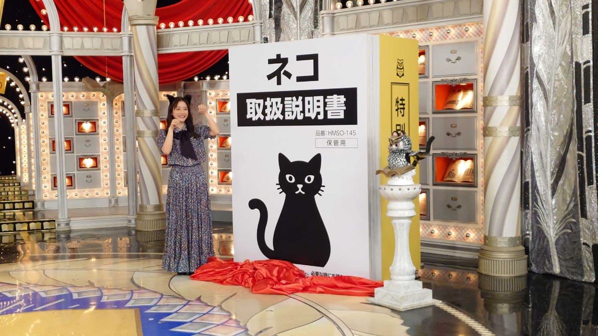 スタジオでネコのとトリセツを紹介