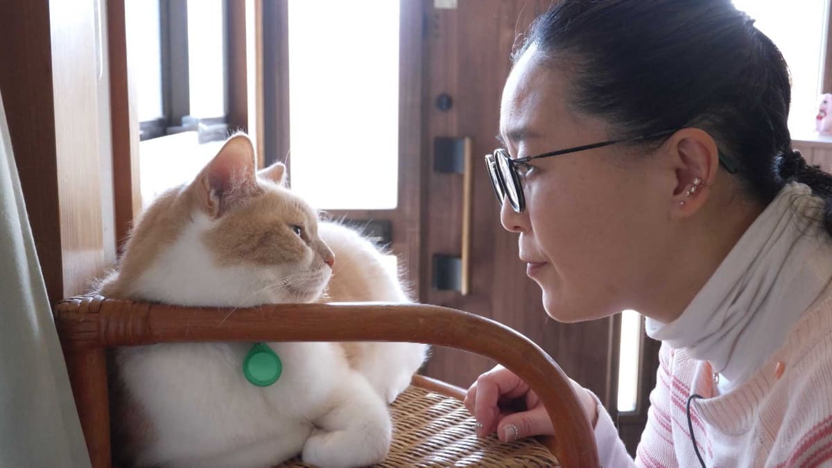 ネコと仲良くなる新ワザを試すと…どうなる!?電子透かしあり