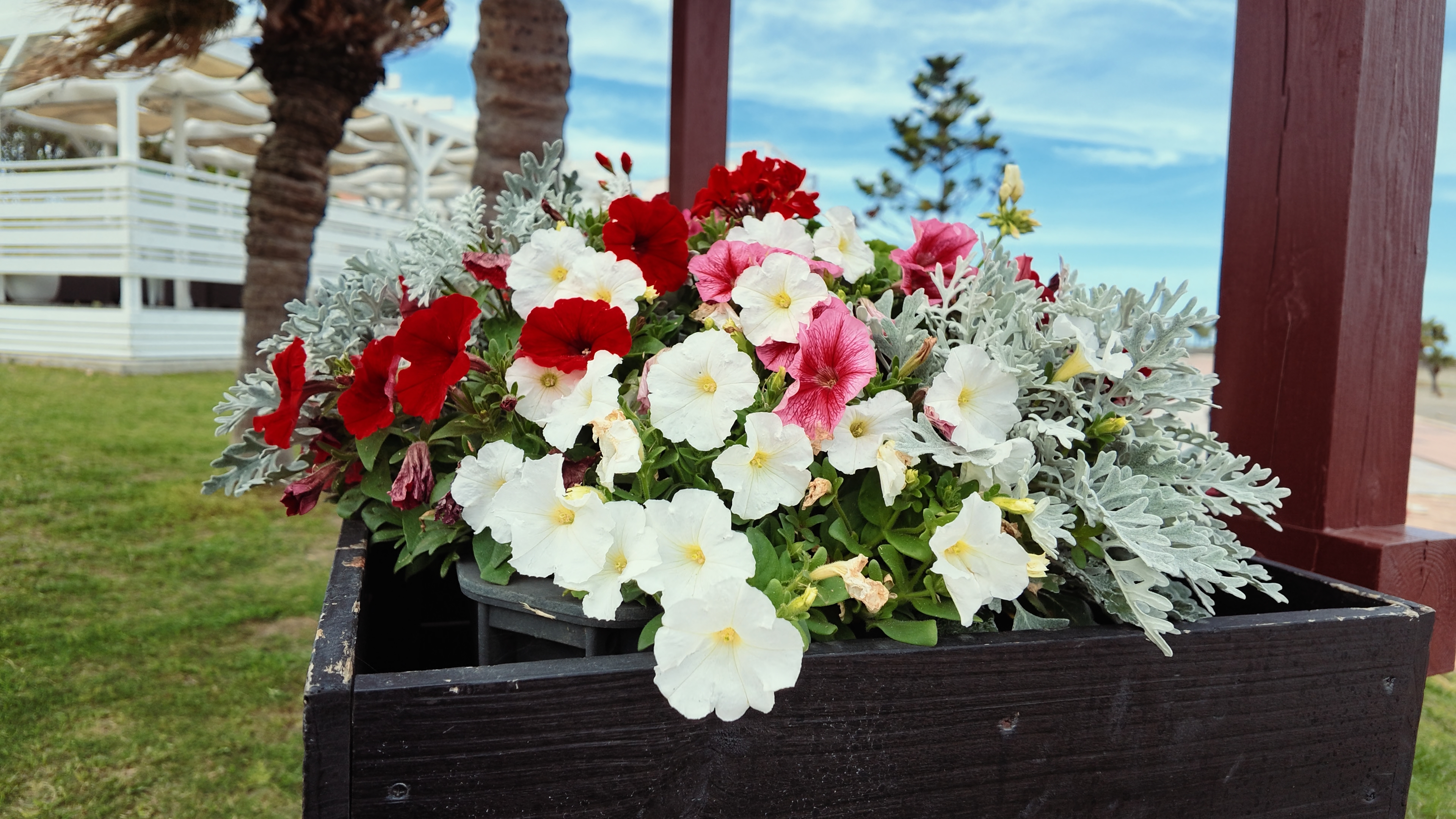 ウォームトーン