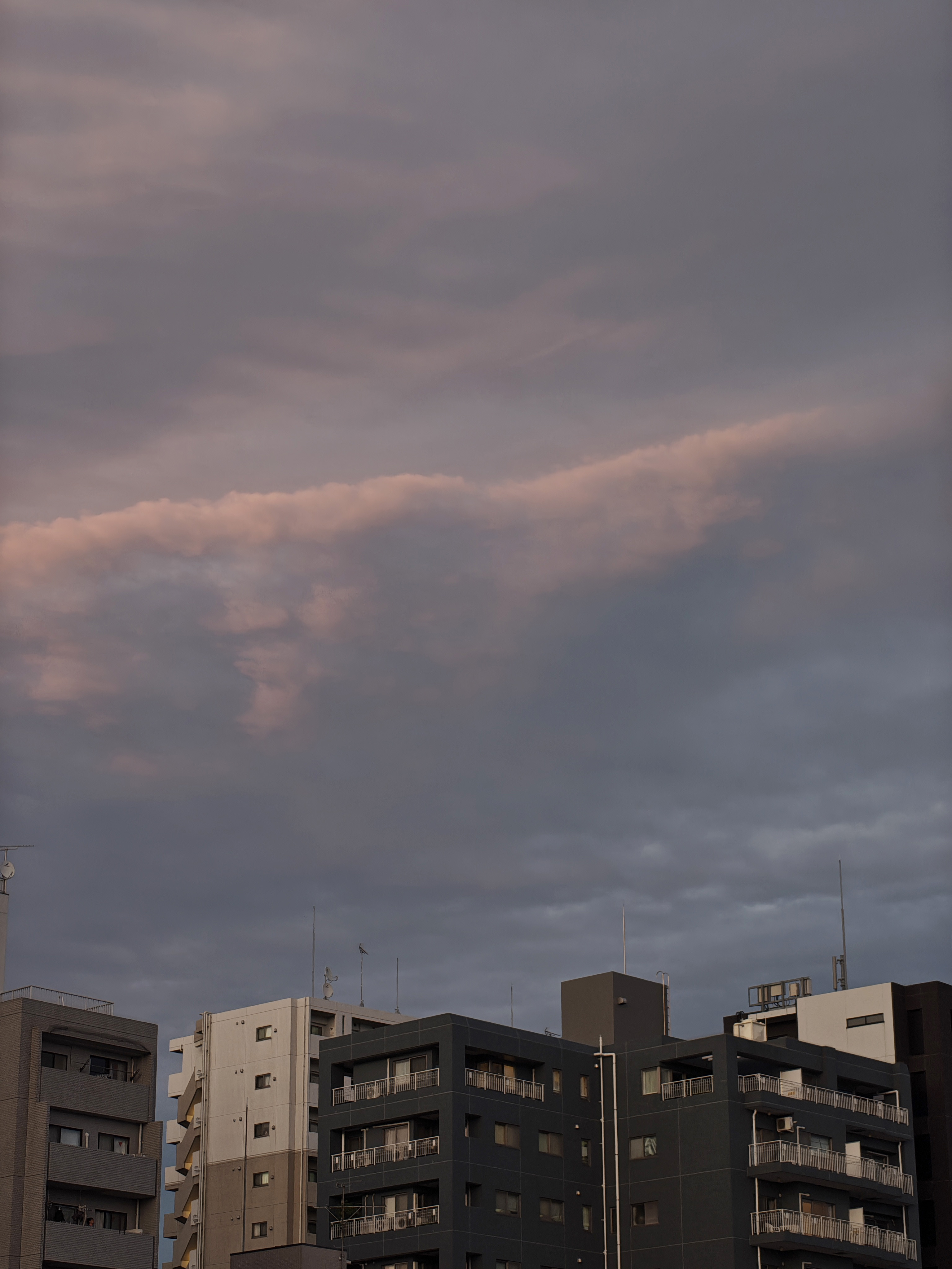 �������뤵�����ƻ��äƤ��ޤ�