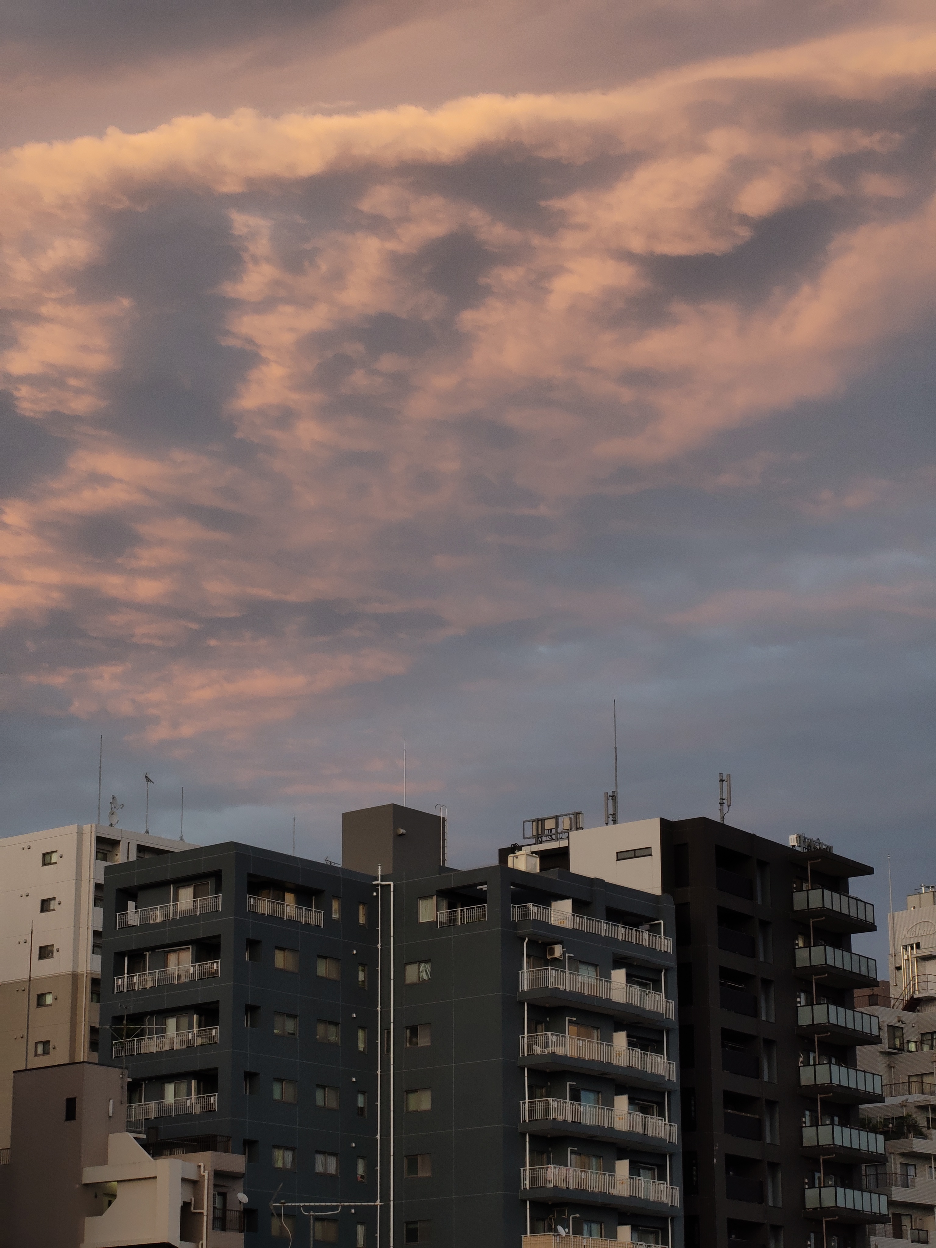 ピンクの空を撮りたかった