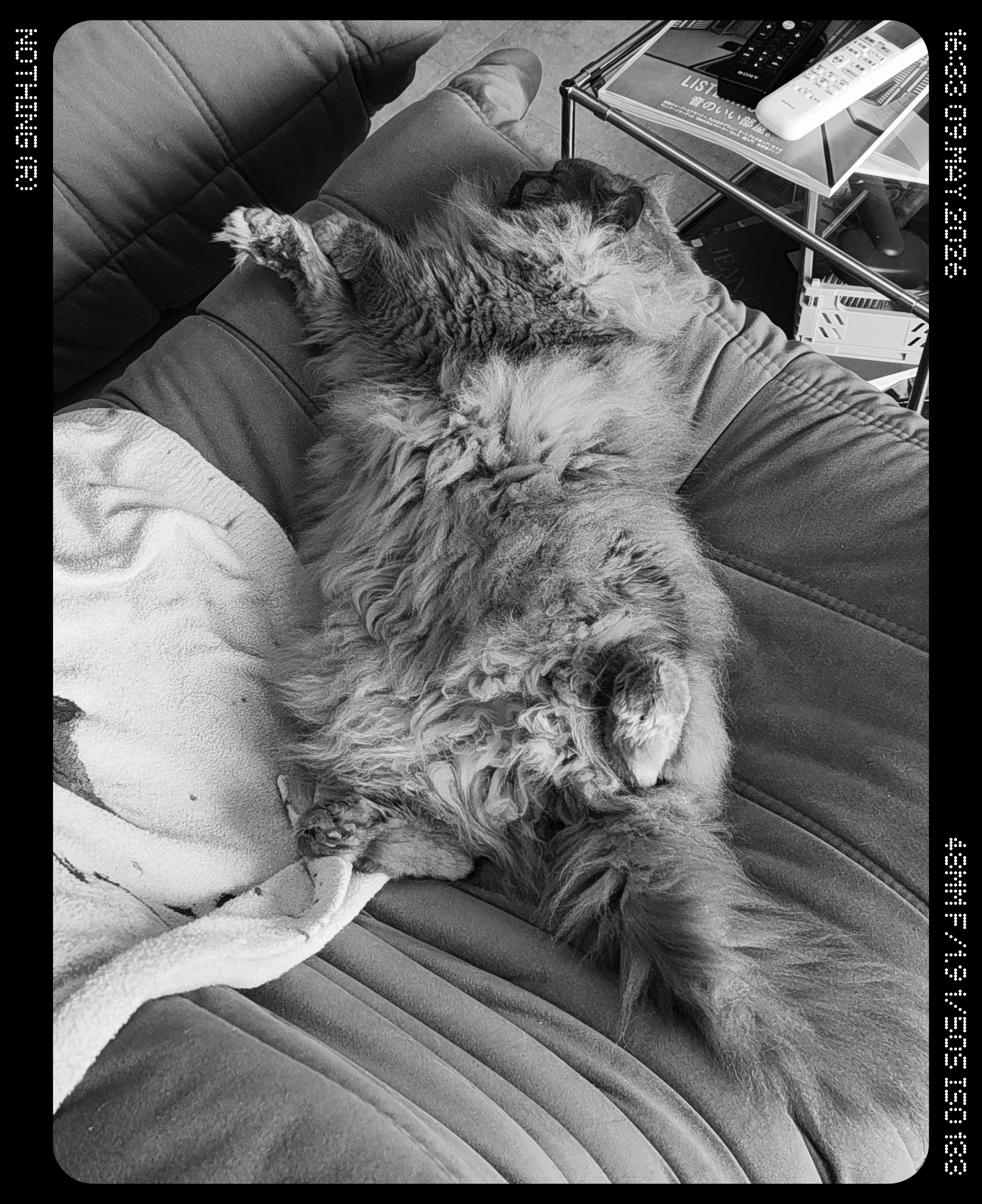 ����ʴ����Ȥ�(B&W Film)