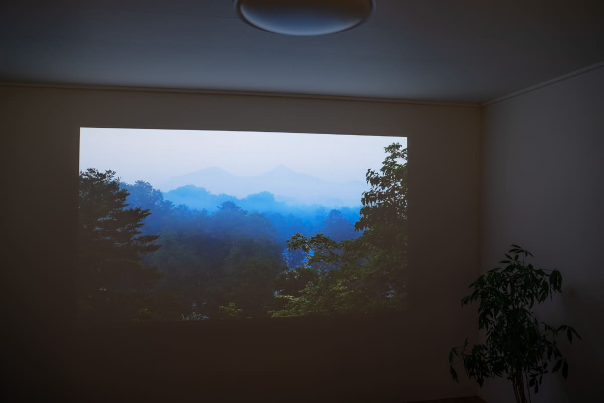 指定した時間に、森の風景、海の映像などと、自然のサウンドで快適に目覚めさせてくれる機能や、常時時計を表示したり、絵画を飾るようにアートを表示する機能などもある