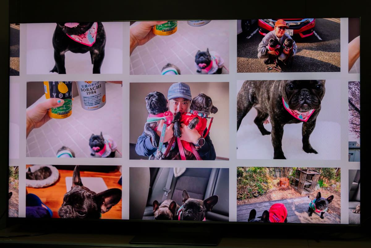 ユーザーが撮影したペットや家族の写真も、インタラクティブに表示してくれる