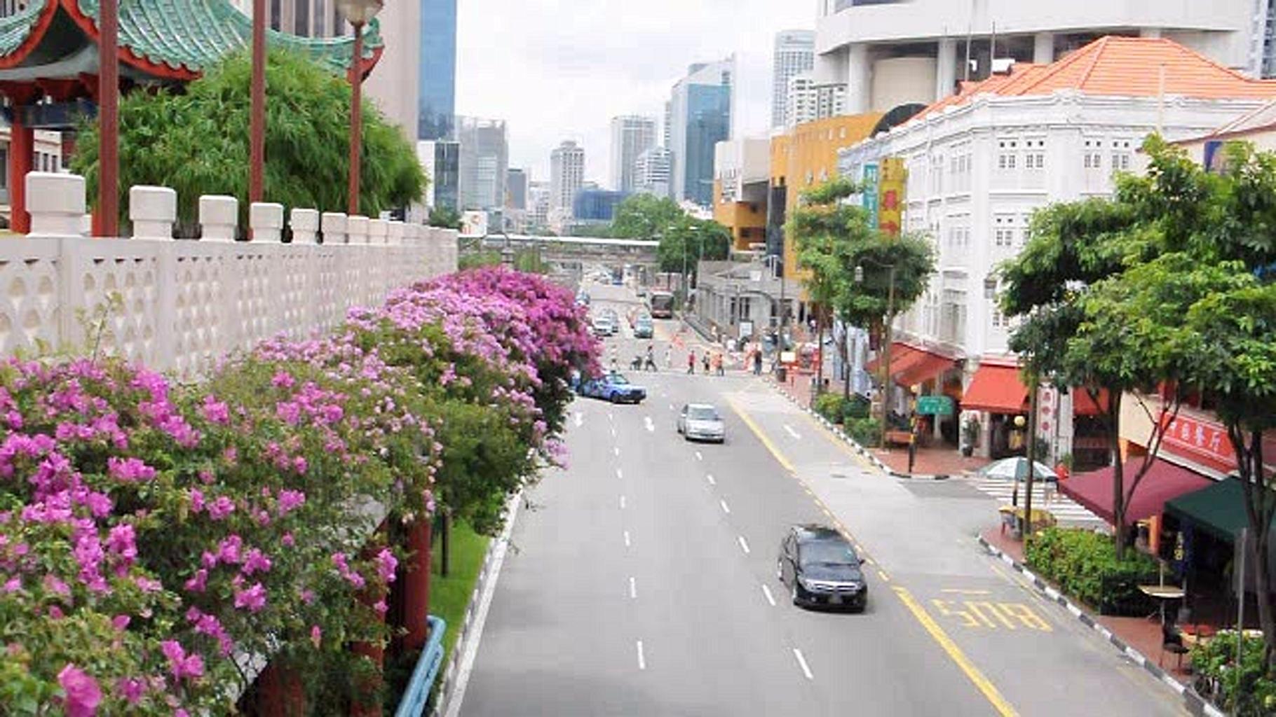 sharpnessで花壇の草花のディティール感を向上(<a ipw_id="119633" href="/video/avw/docs/212/001/srm03e.wmv">srm03e.wmv</a>)