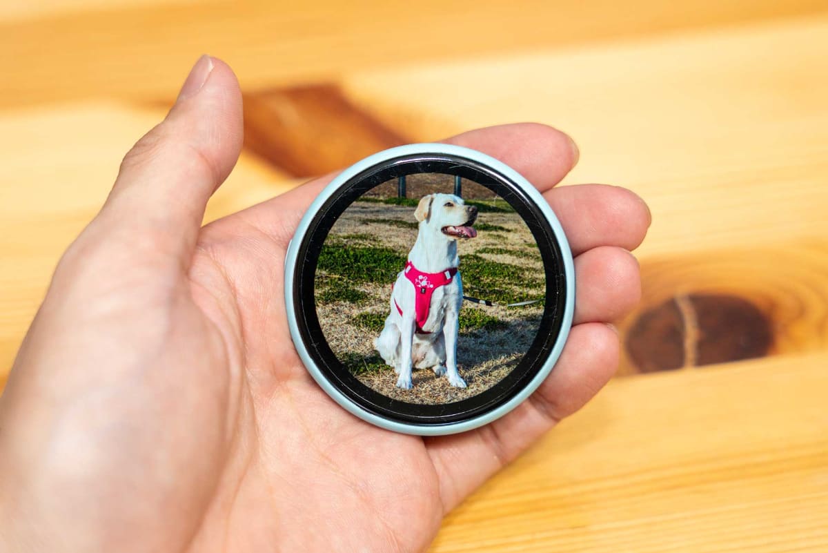 液晶ディスプレイに好みの画像・動画を表示できる「デジタル缶バッジ」。筐体色も全8色と豊富にラインナップされている。今回購入したのはブルー