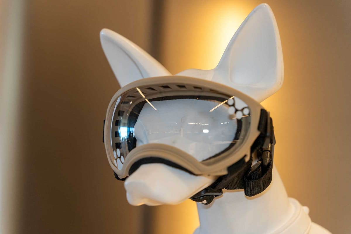 犬の眼を紫外線から守るという犬専用ゴーグル「WANGLASS」