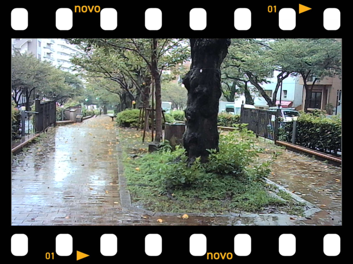 InstantSnap.novo撮影(フィルム風フレーム)