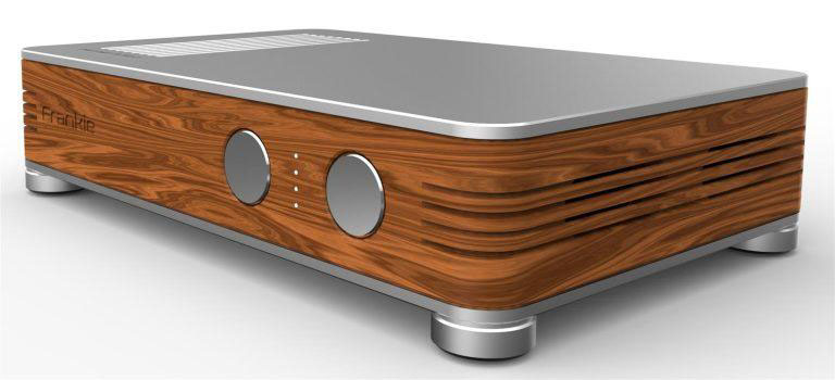 Frankie monoblock power/stereo power