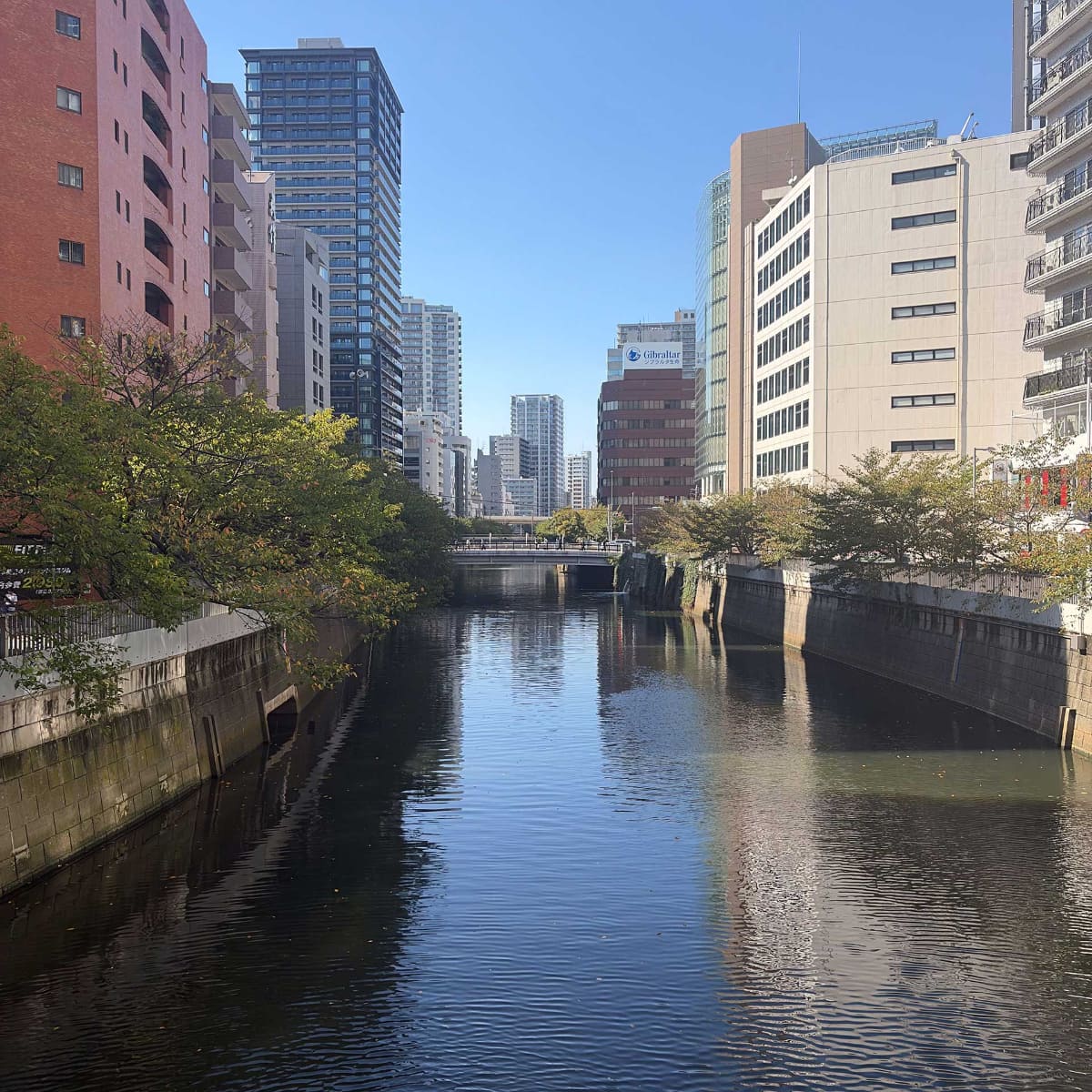 iPhone Duoを開き、横に持ったまま撮影した時の画角
