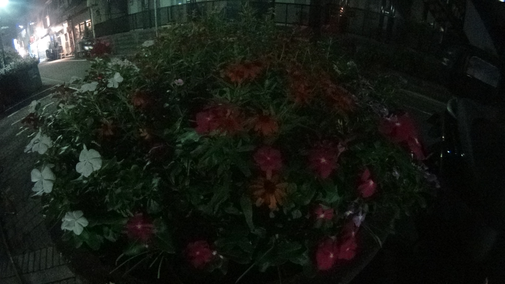 夜間/画角170度