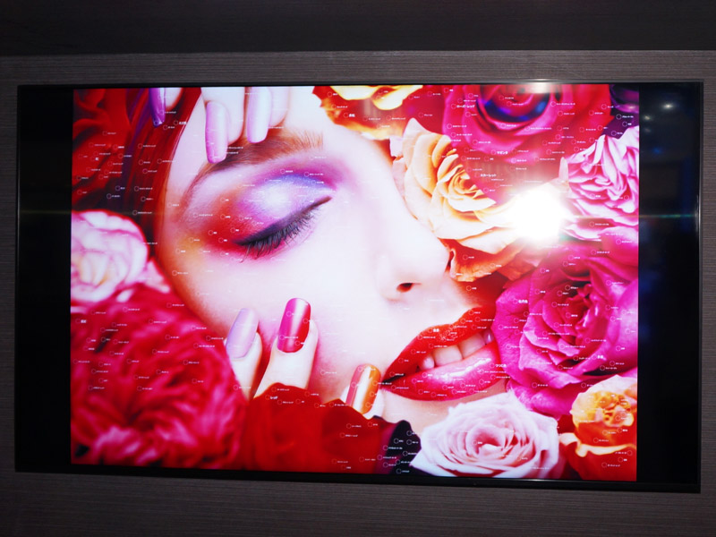 ディスプレイ部のみの4K LASERVUE