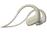 sony13_s.jpg