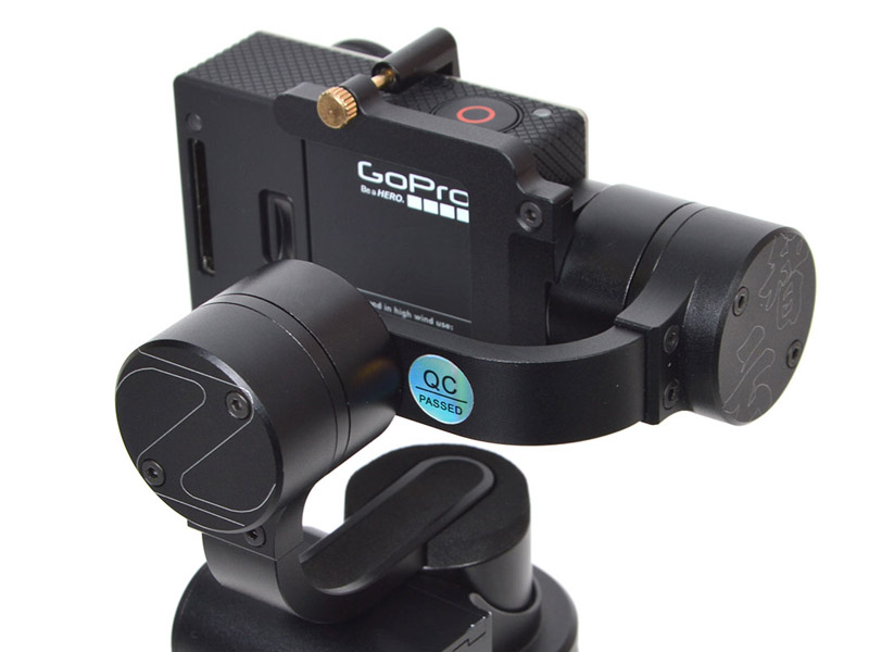 後ろから見たところ