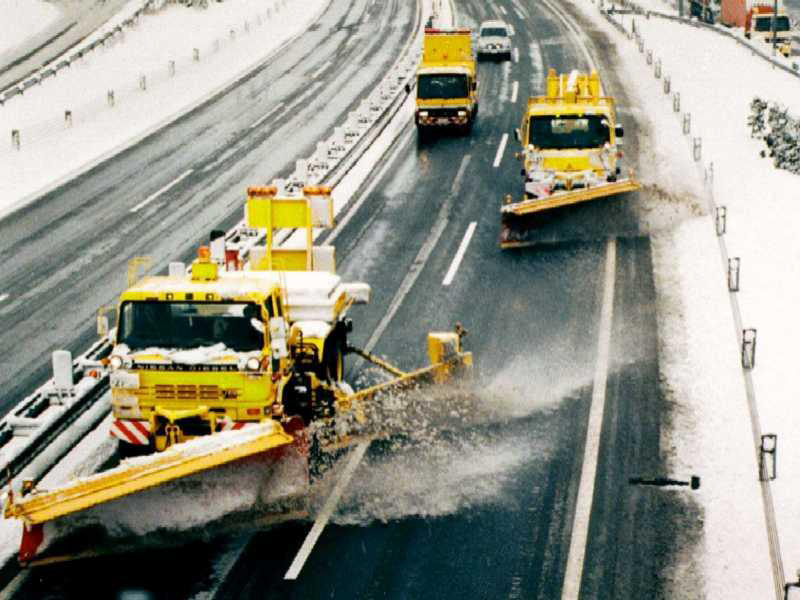 売却される実際の車両の情報は物品・役務（車両売却）のページの仕様書に掲載されている
