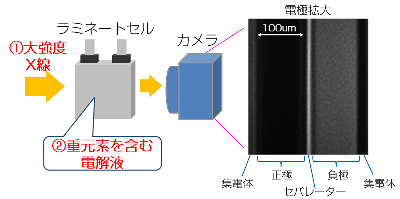 電解液中のリチウムイオンの挙動を観察する世界初の観察手法