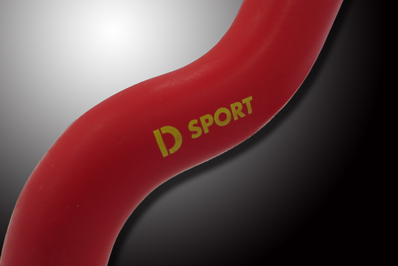 ロアホースにD-SPORTのロゴをデザイン