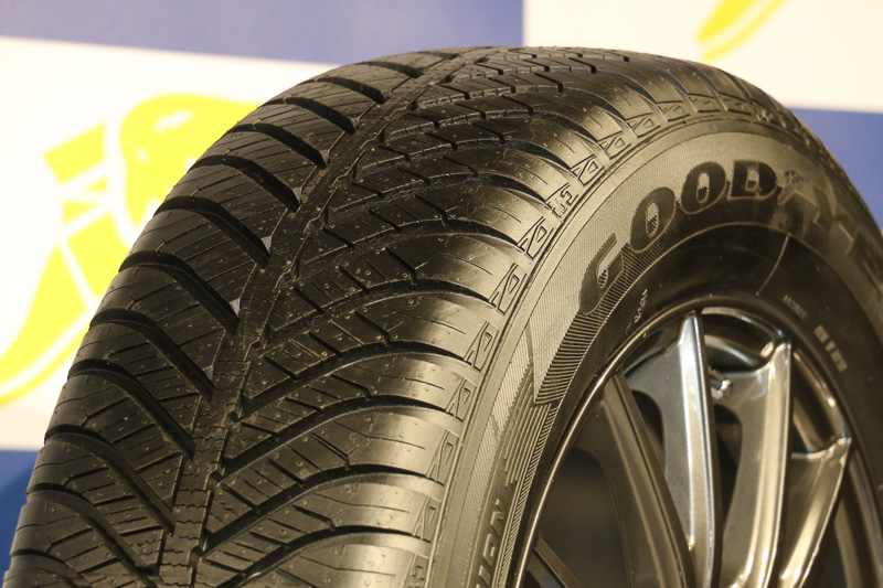 Vector 4 Seasons Hybrid