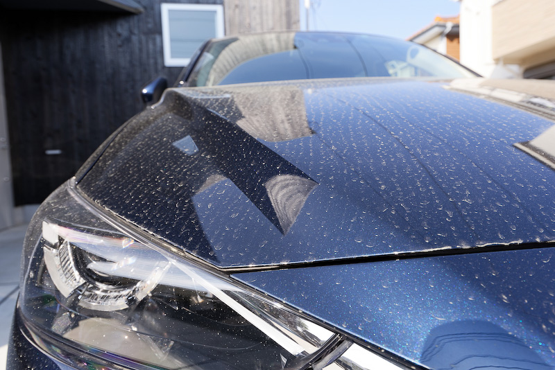 花粉まみれのクルマを、家族でキレイにしようではないか