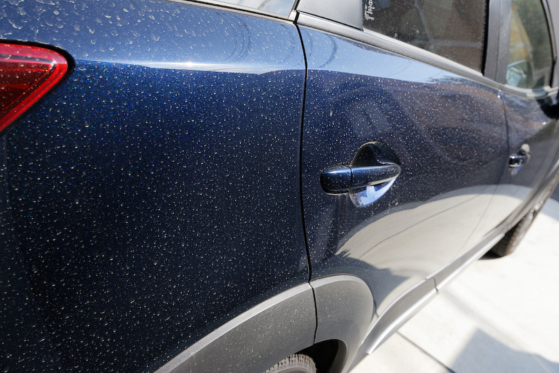 車体のサイドも花粉まみれ