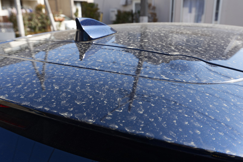 ルーフも花粉まみれ