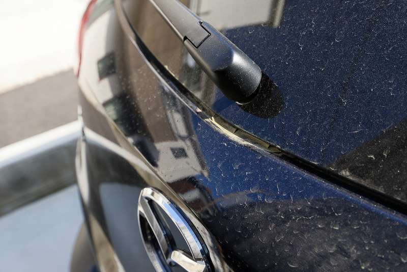 特にリアウィンドウの下端とボディの境目には花粉や汚れが溜まりやすい