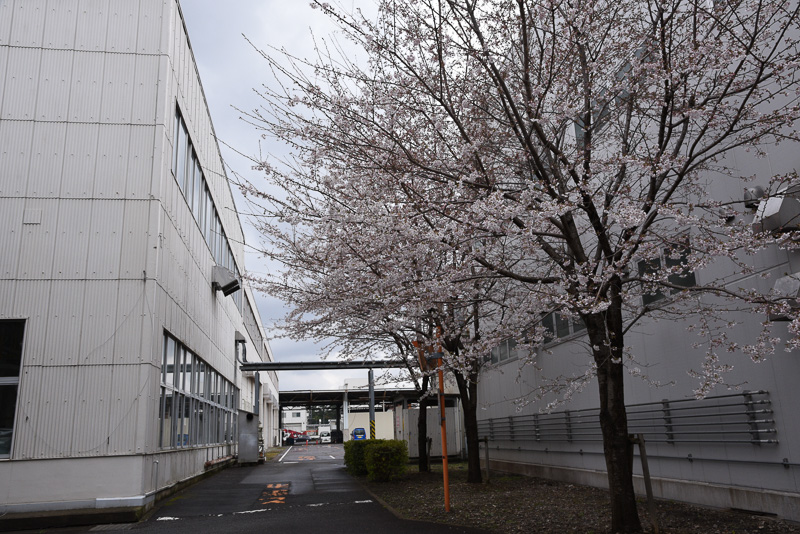 森山荘の入口側から東京事業所方面を望む。左はエンジンの研究棟