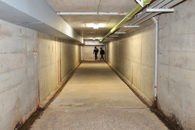 トンネル長は60mほど