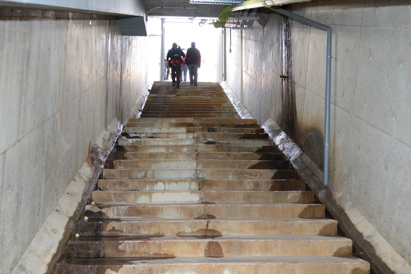 コース下を抜けたら長めの階段